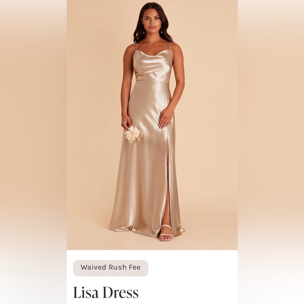 Birdy Grey Lisa Long Shiny Satin Dress